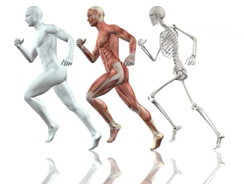 Why Having A Healthy Relationship With Your Body Should Be Your Top Priority
